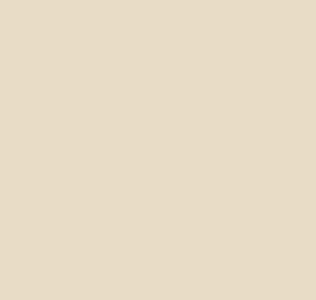 SW 6119 Antique White