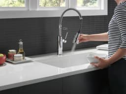 Theodora™ Single-Handle Pull-Down Kitchen Faucet With Shield Spray