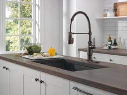 Theodora™ Single-Handle Pull-Down Kitchen Faucet With Shield Spray