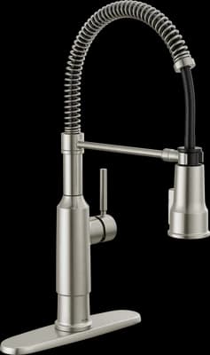 Theodora™ Single-Handle Pull-Down Kitchen Faucet With Shield Spray