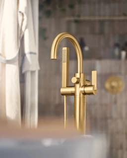 Cia One-Handle Tub Filler Includes Hand Shower
