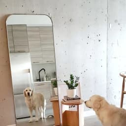 Edge Silver Standing Mirror