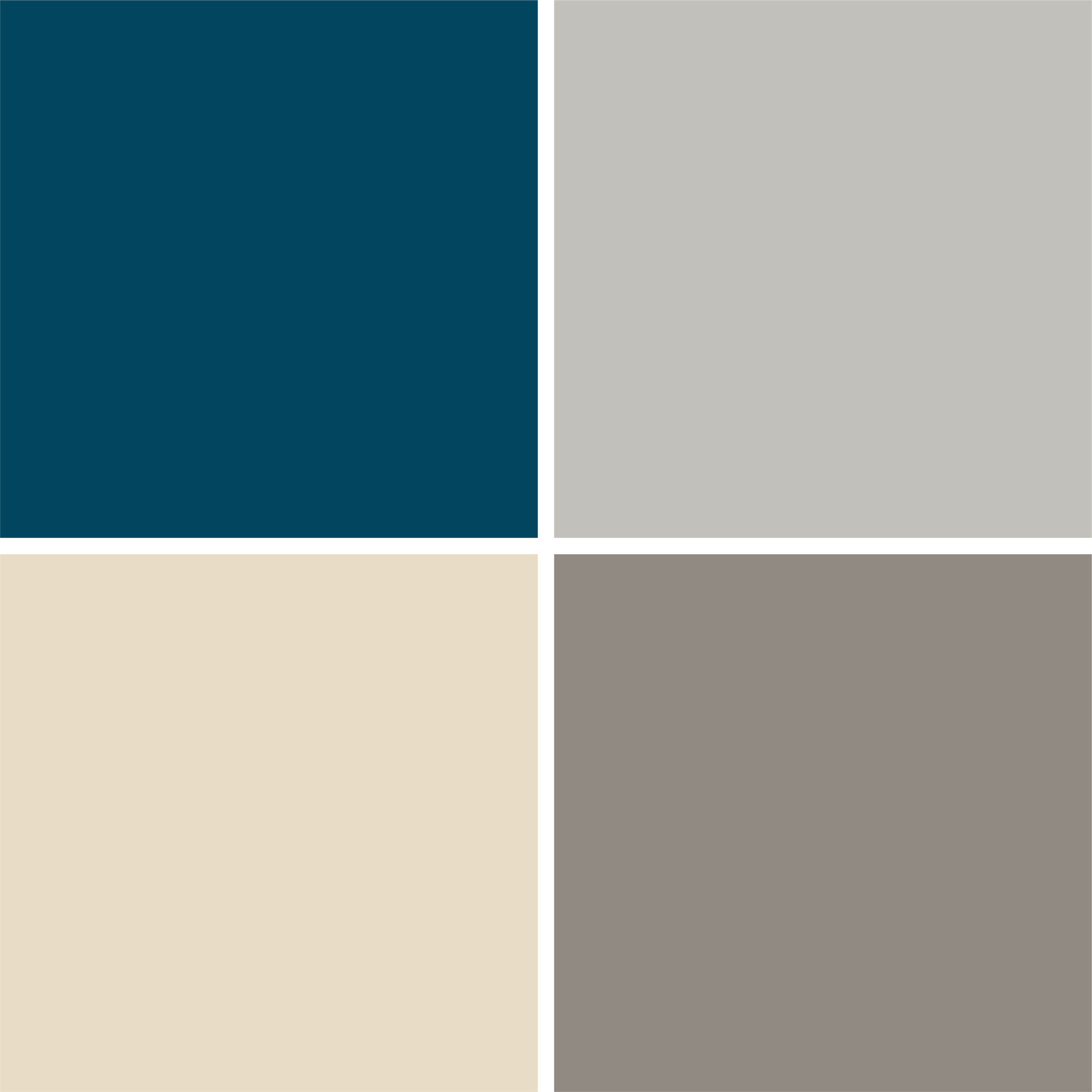 Wall Color