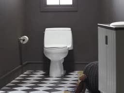 Kohler Santa Rosa™ Comfort Height™