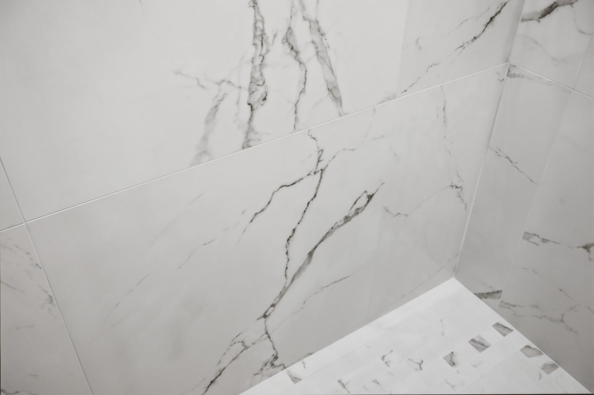Donahue Drive - Shower Tile & Mosaic Floor Detail