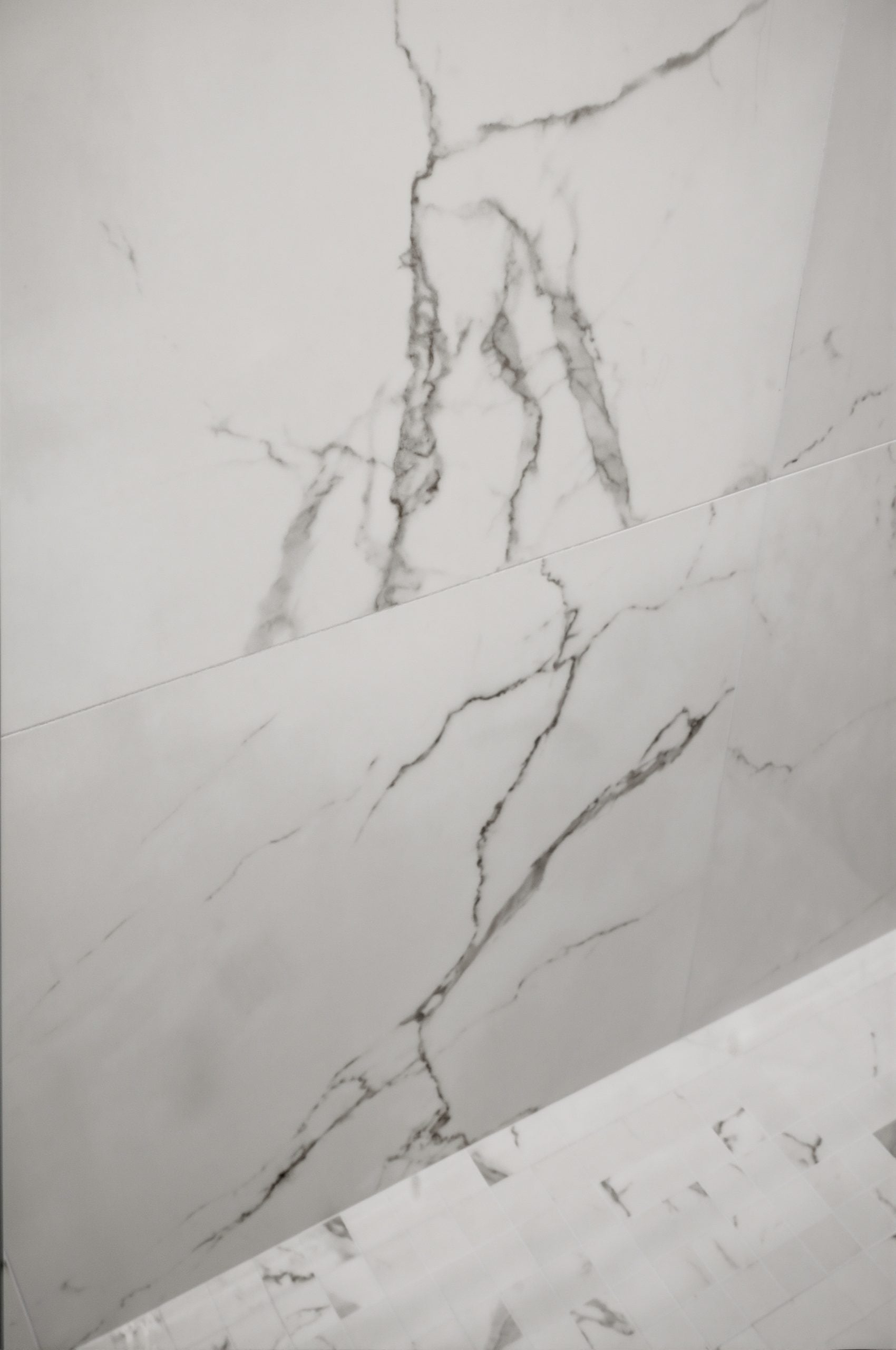 Donahue Drive - Shower Wall Tile Detail