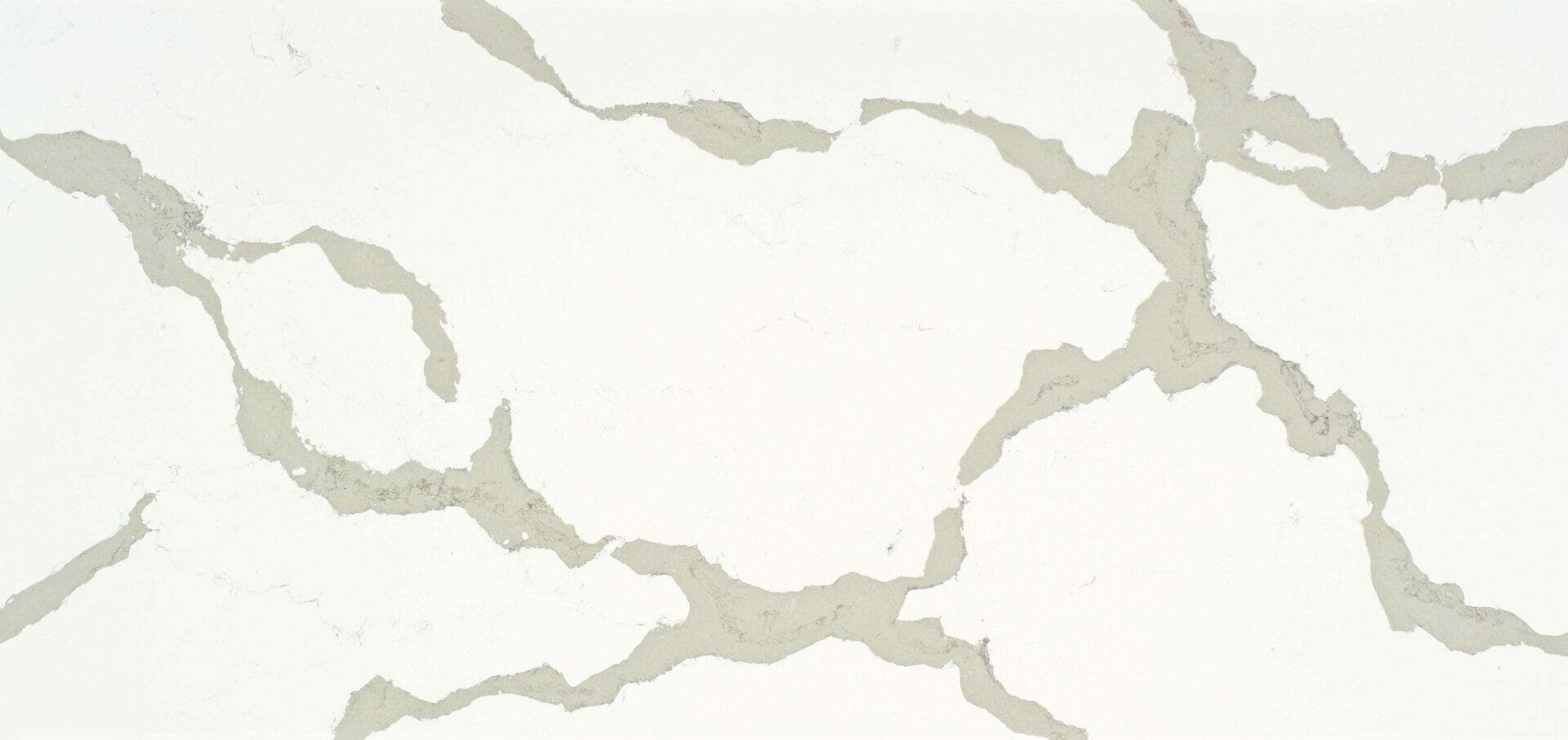 Calacatta Maximus Quartz Countertop
