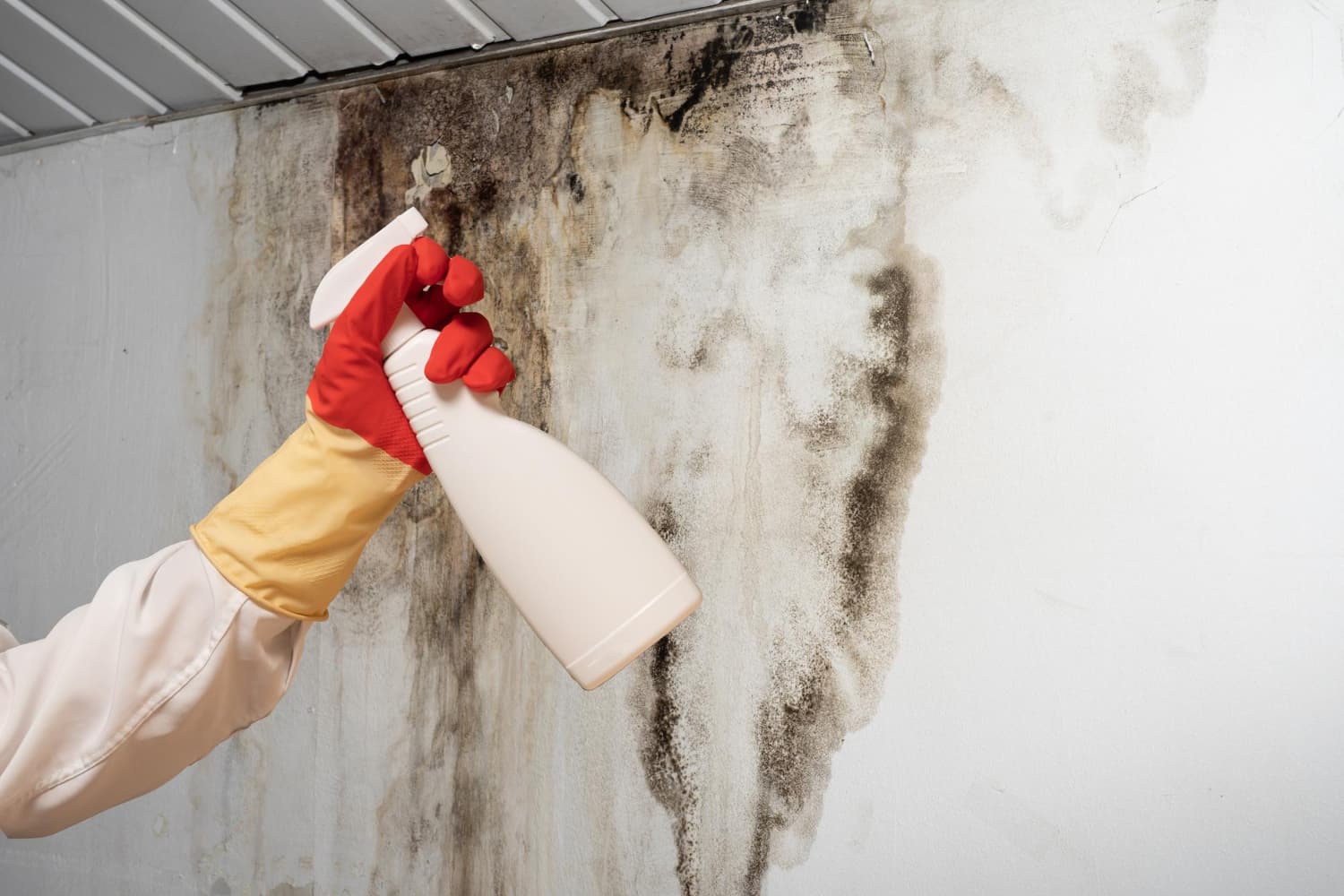 Professional restoration interior