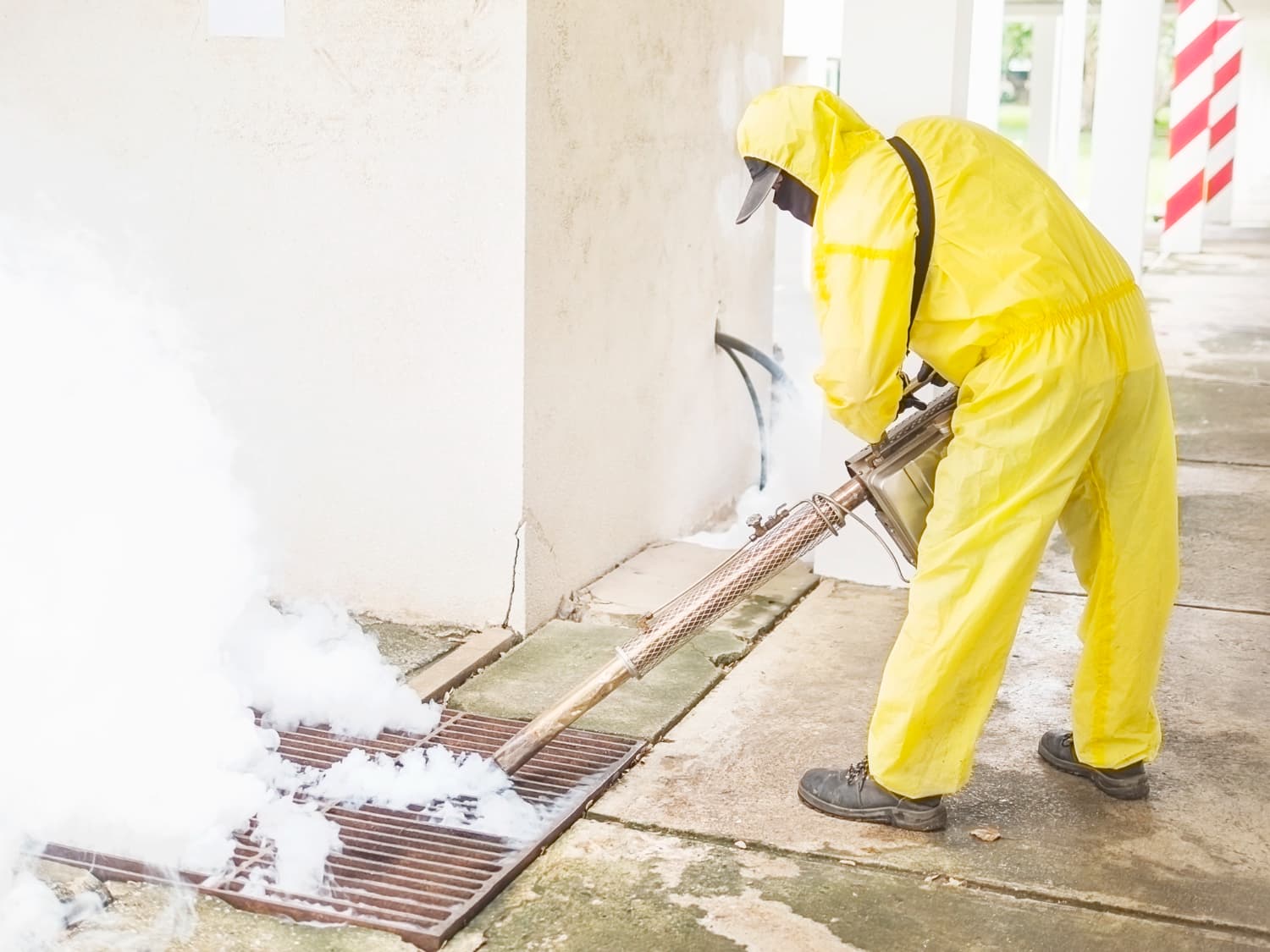 Fire & Smoke Remediation