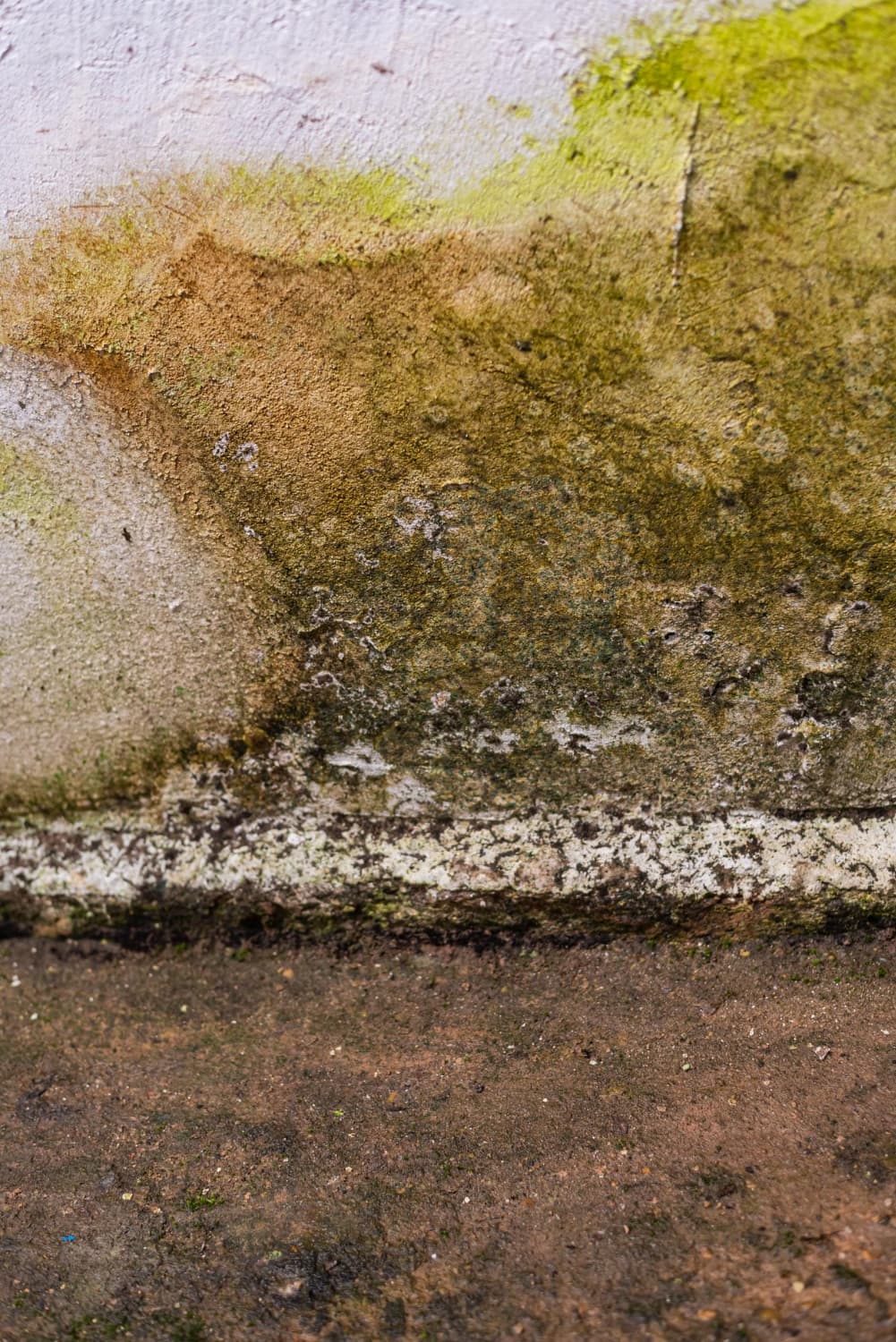 Water Damage