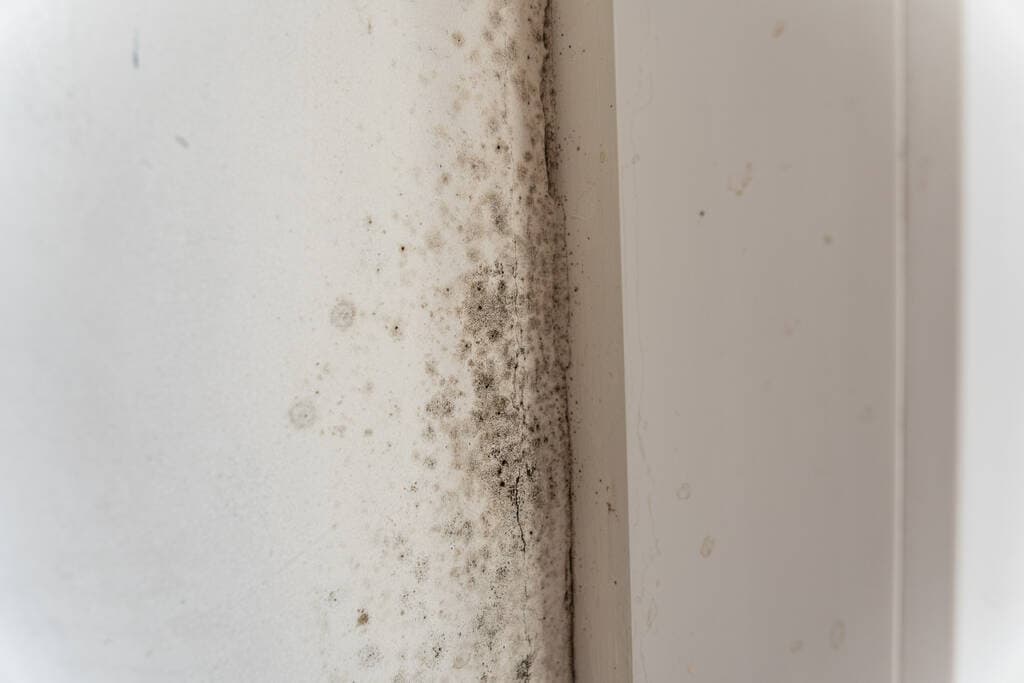 Bathroom damage restoration